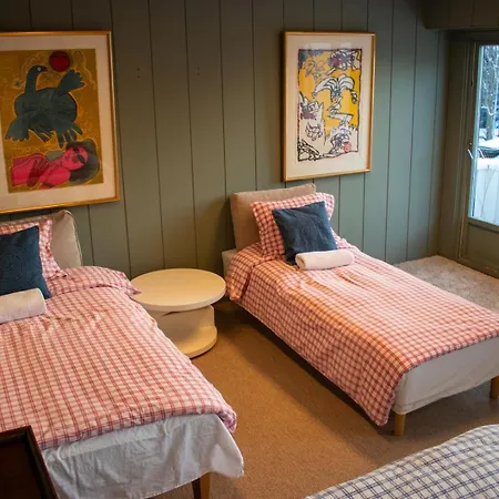 The Cozy *